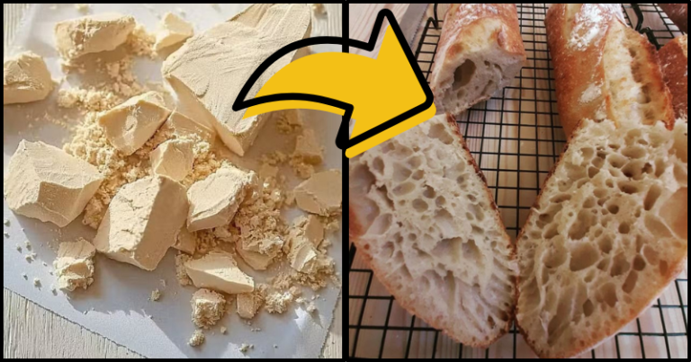 Comment préparer de la levure boulangère fraîche à la maison